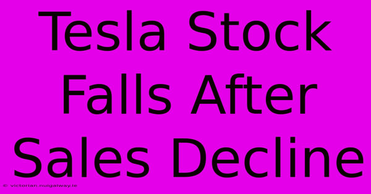 Tesla Stock Falls After Sales Decline