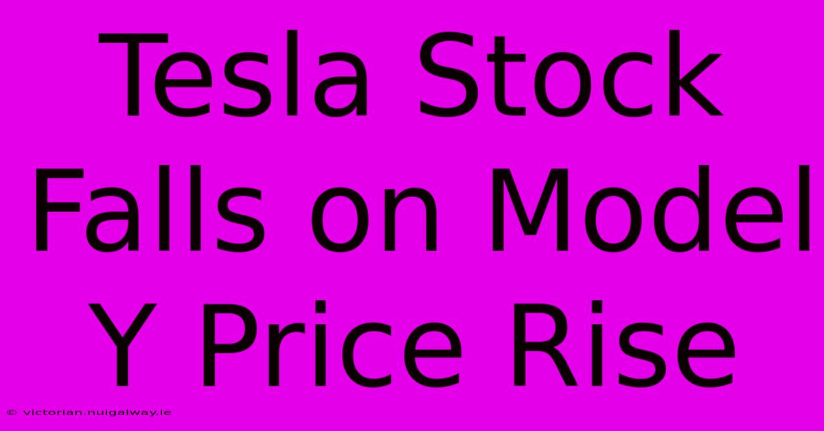 Tesla Stock Falls On Model Y Price Rise