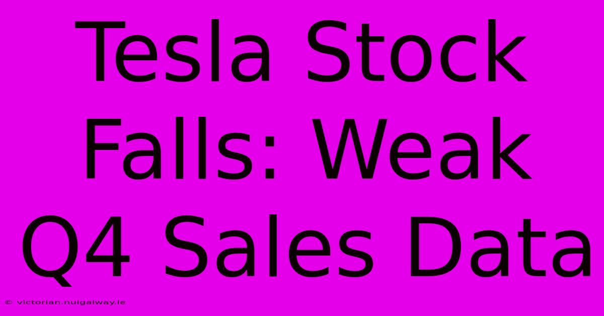 Tesla Stock Falls: Weak Q4 Sales Data