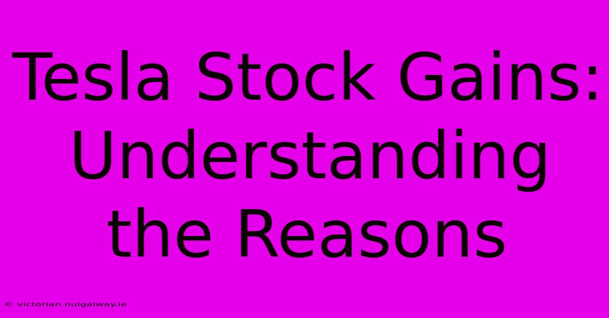 Tesla Stock Gains:  Understanding The Reasons 