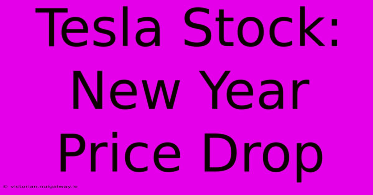 Tesla Stock: New Year Price Drop