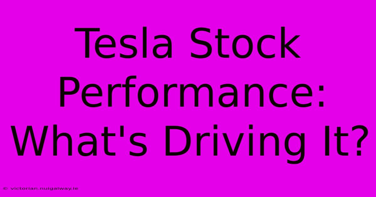 Tesla Stock Performance:  What's Driving It?