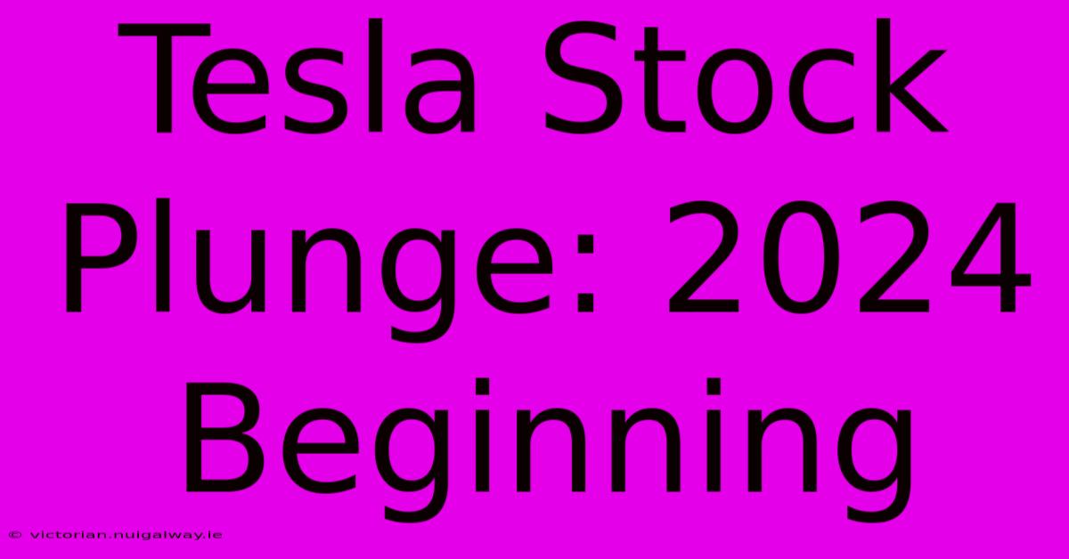 Tesla Stock Plunge: 2024 Beginning