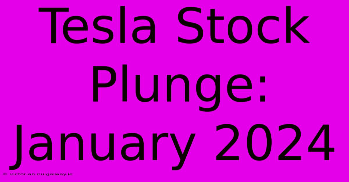 Tesla Stock Plunge: January 2024