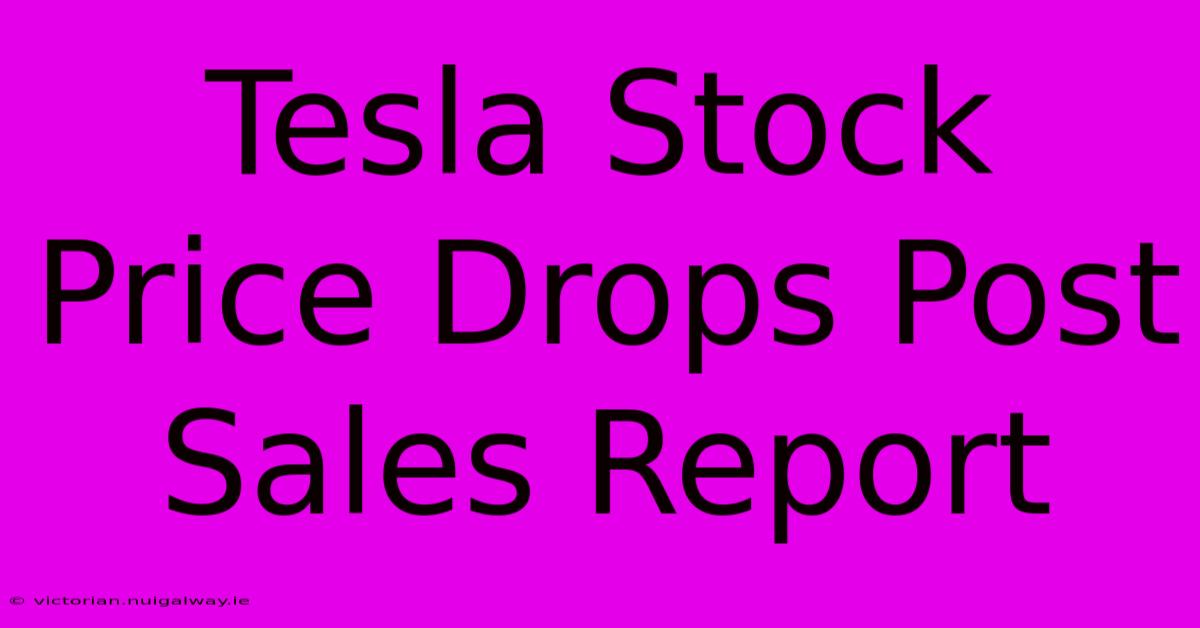 Tesla Stock Price Drops Post Sales Report