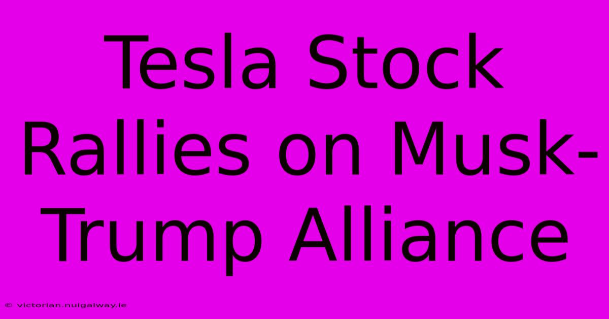 Tesla Stock Rallies On Musk-Trump Alliance