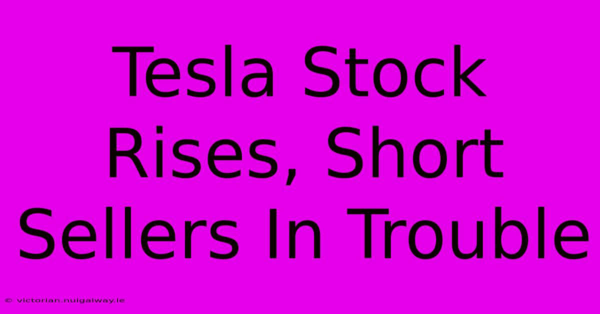 Tesla Stock Rises, Short Sellers In Trouble 