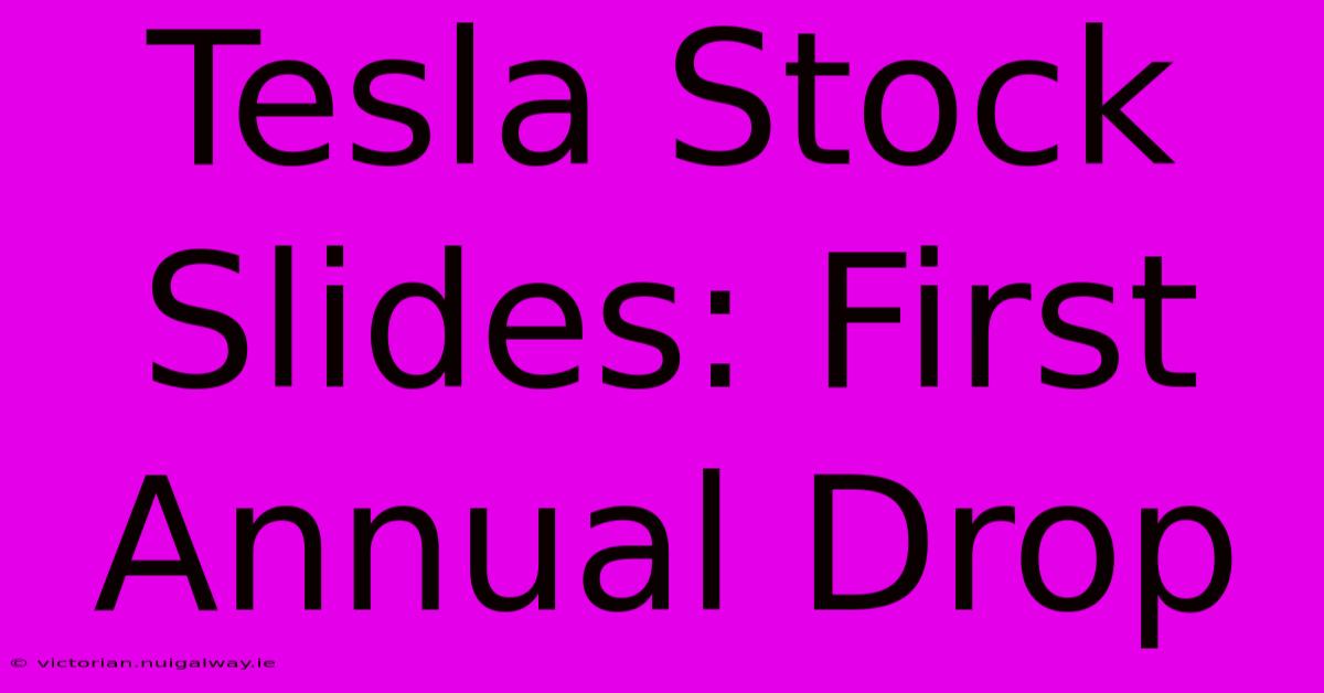 Tesla Stock Slides: First Annual Drop