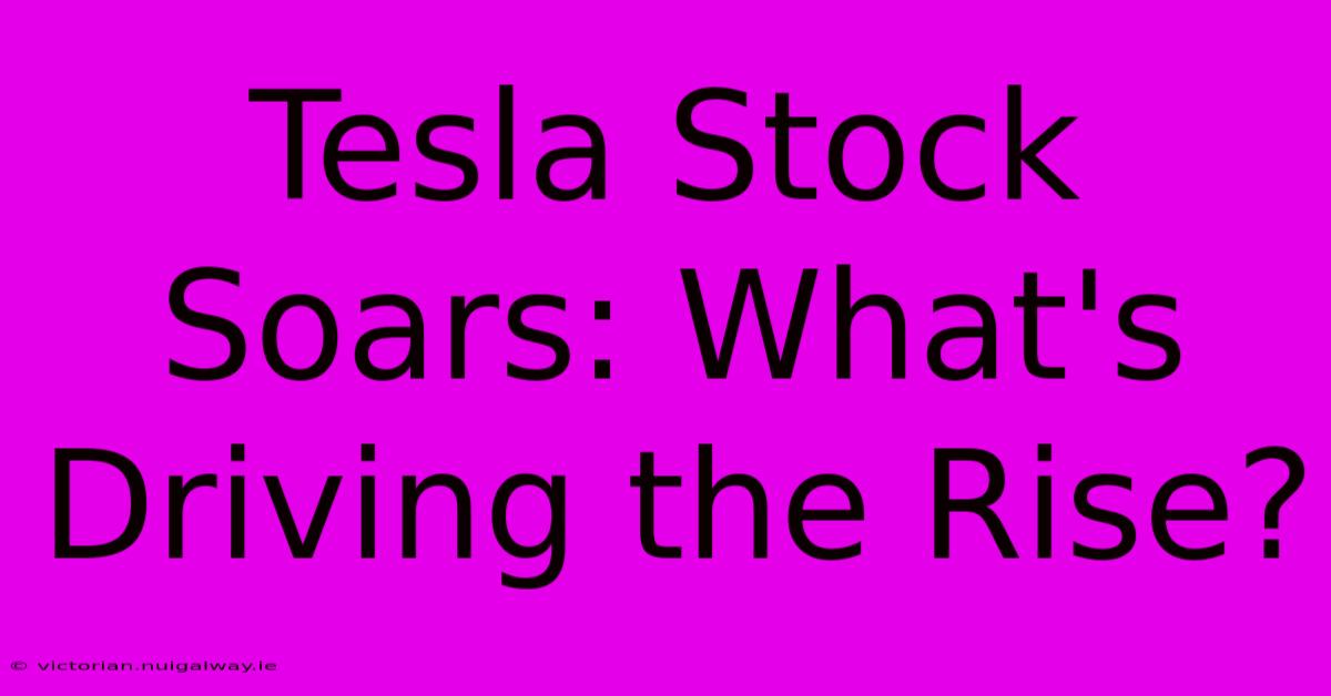 Tesla Stock Soars: What's Driving The Rise?