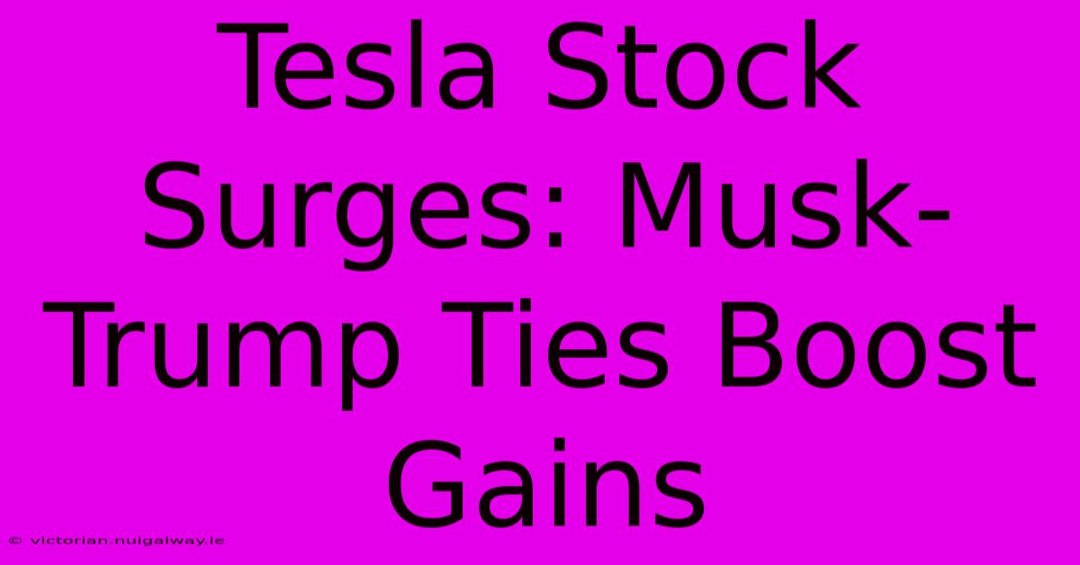 Tesla Stock Surges: Musk-Trump Ties Boost Gains