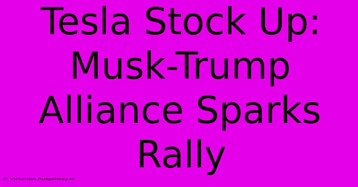 Tesla Stock Up: Musk-Trump Alliance Sparks Rally 