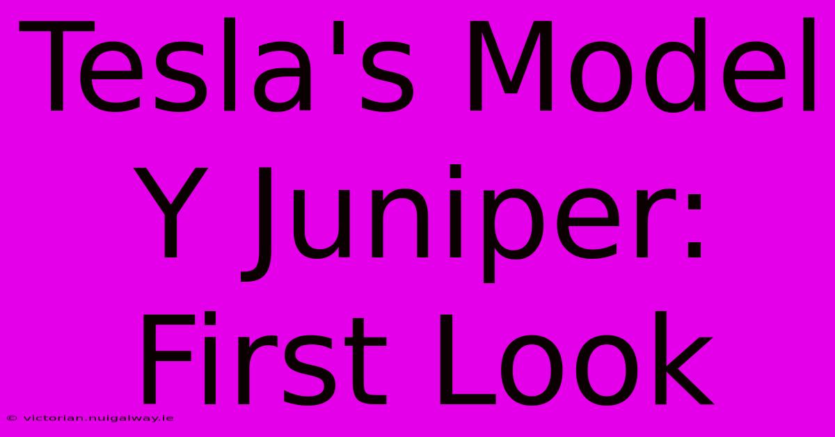 Tesla's Model Y Juniper: First Look