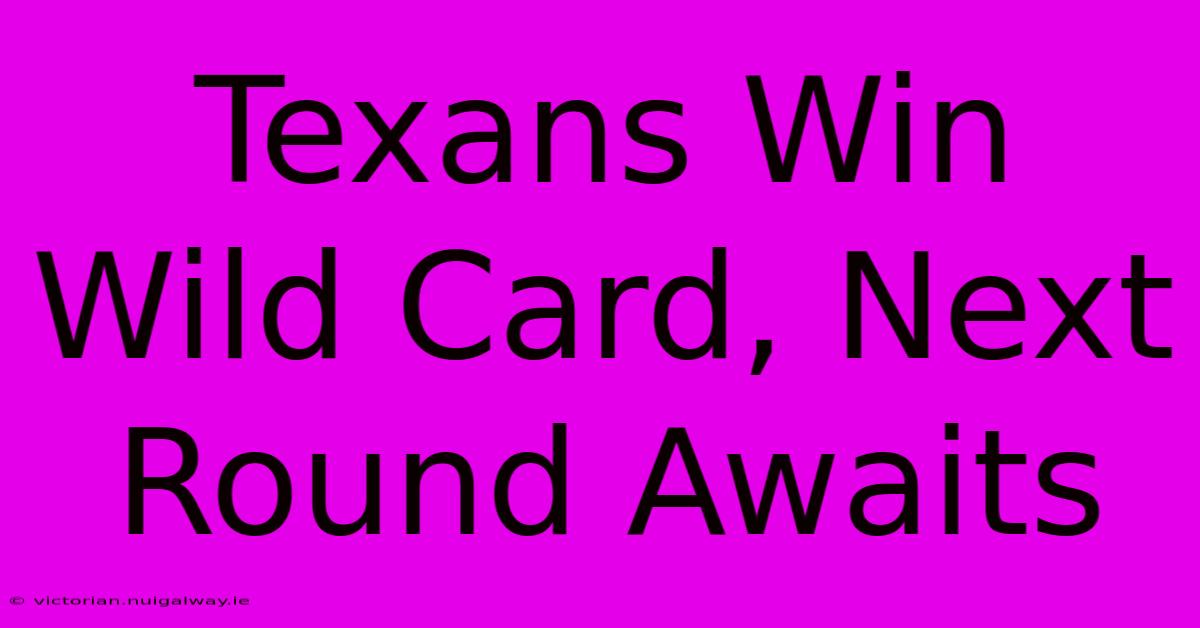 Texans Win Wild Card, Next Round Awaits