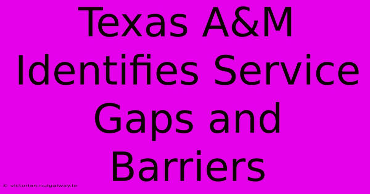 Texas A&M Identifies Service Gaps And Barriers 