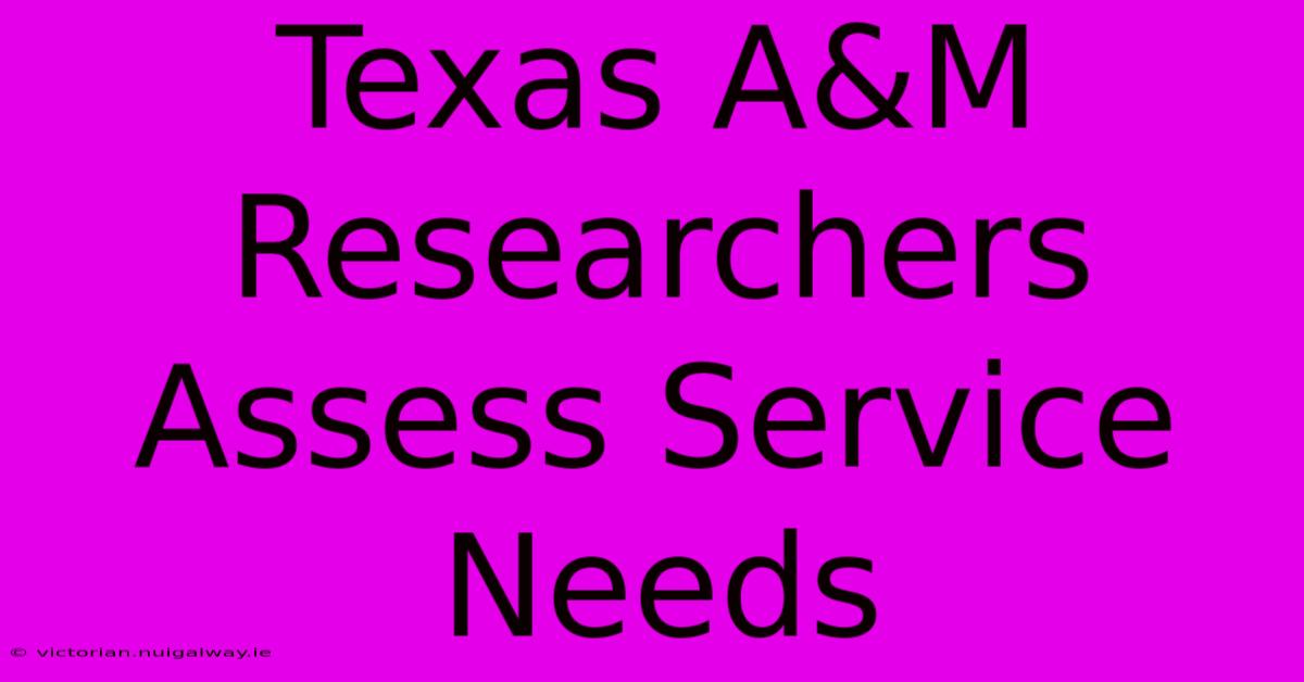 Texas A&M Researchers Assess Service Needs