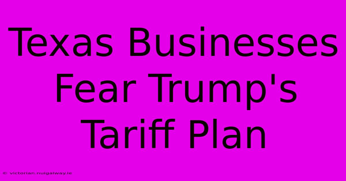 Texas Businesses Fear Trump's Tariff Plan