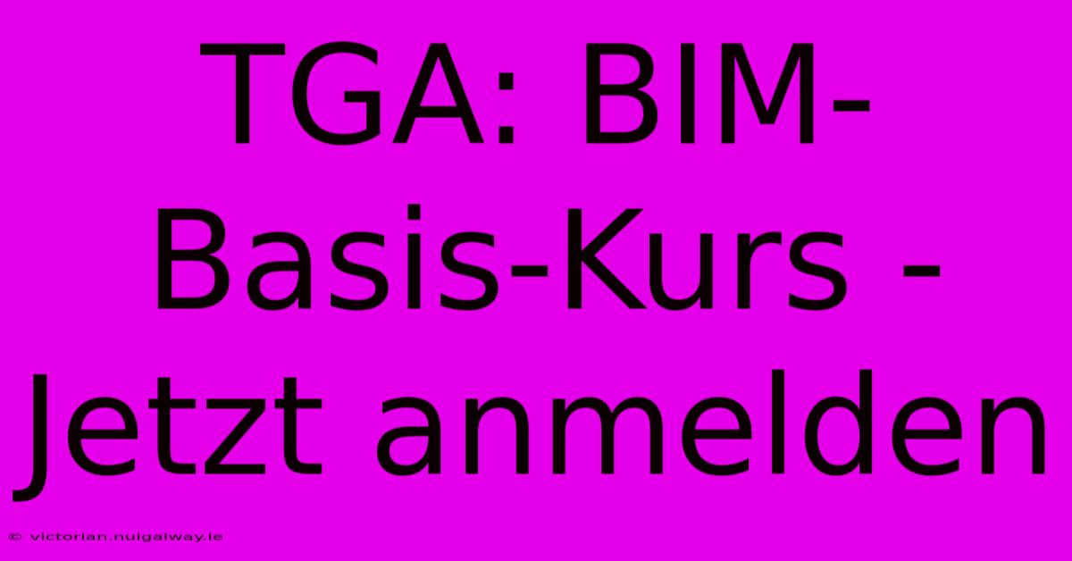 TGA: BIM-Basis-Kurs - Jetzt Anmelden