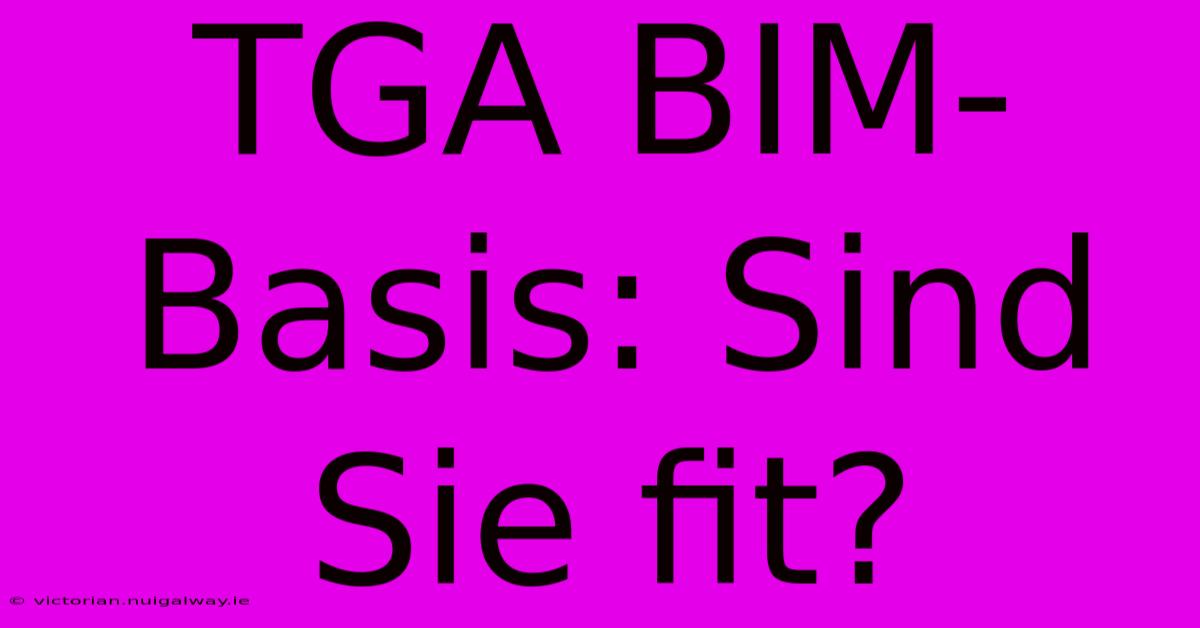 TGA BIM-Basis: Sind Sie Fit?