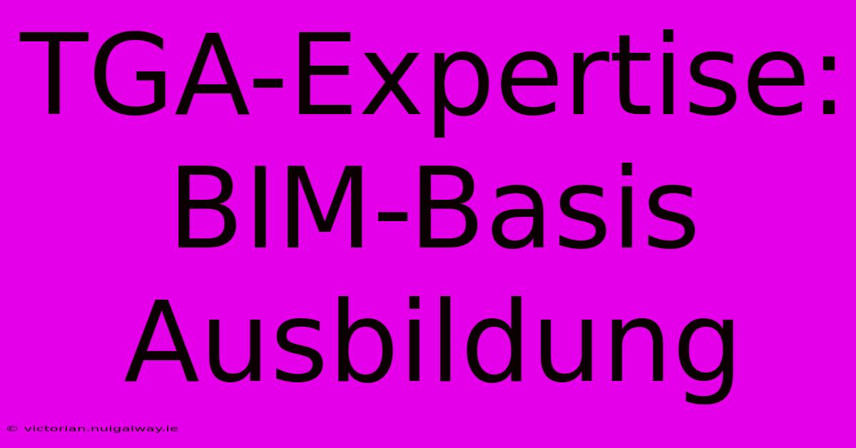 TGA-Expertise: BIM-Basis Ausbildung 