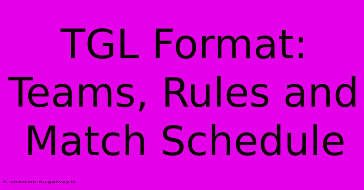 TGL Format: Teams, Rules And Match Schedule