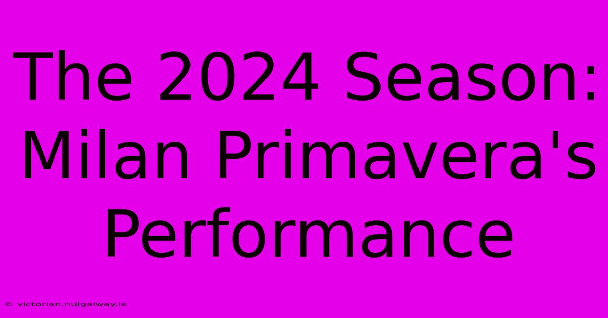 The 2024 Season: Milan Primavera's Performance