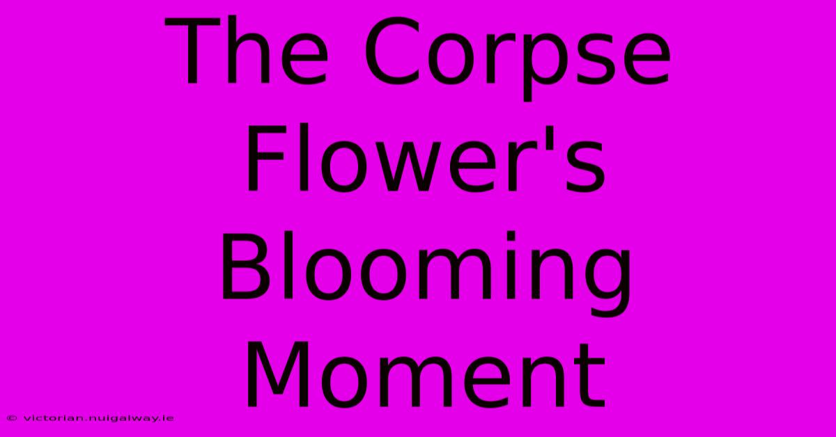 The Corpse Flower's Blooming Moment