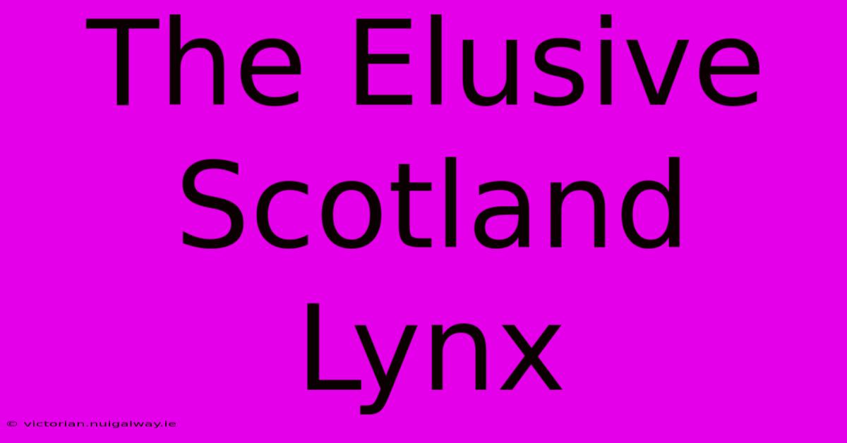 The Elusive Scotland Lynx