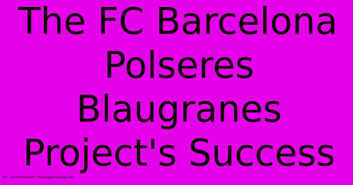 The FC Barcelona Polseres Blaugranes Project's Success