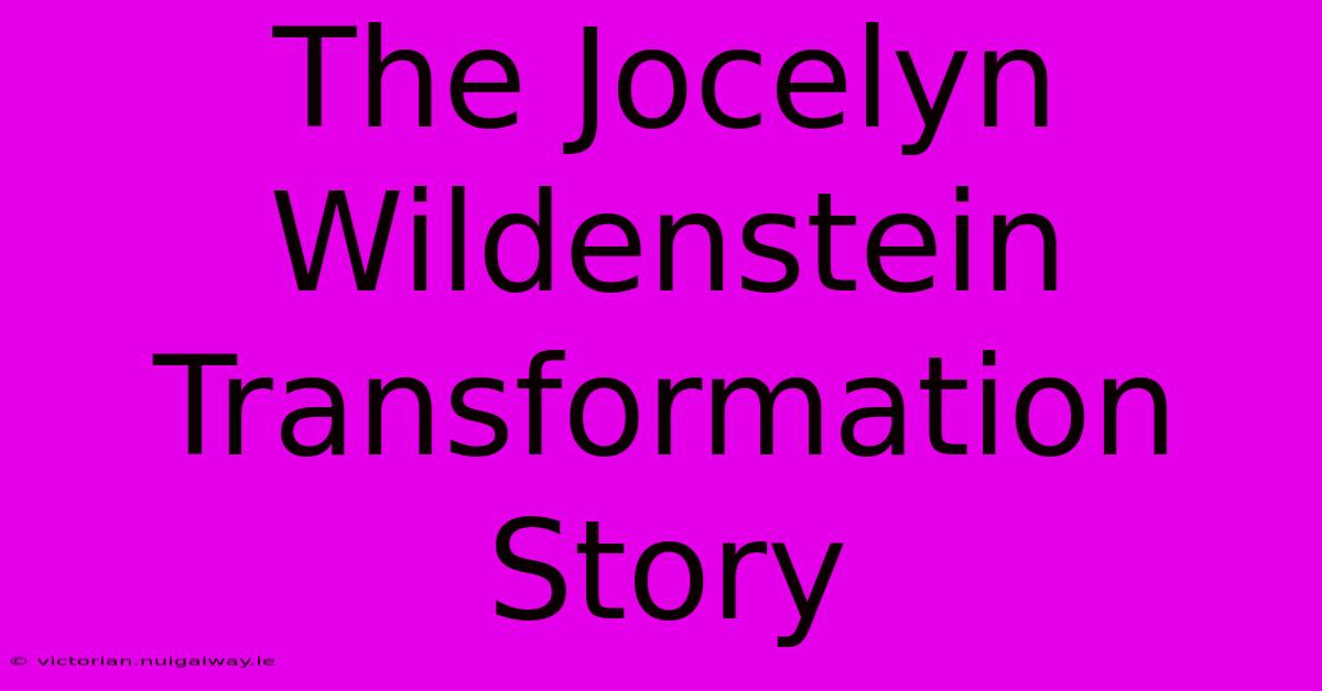 The Jocelyn Wildenstein Transformation Story