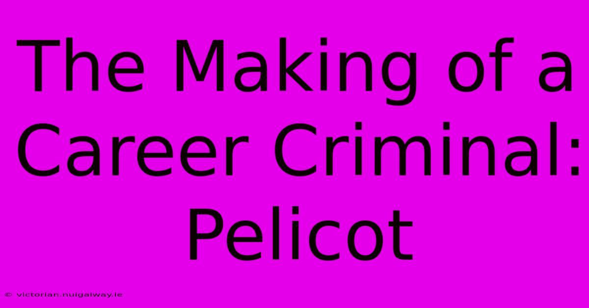 The Making Of A Career Criminal: Pelicot