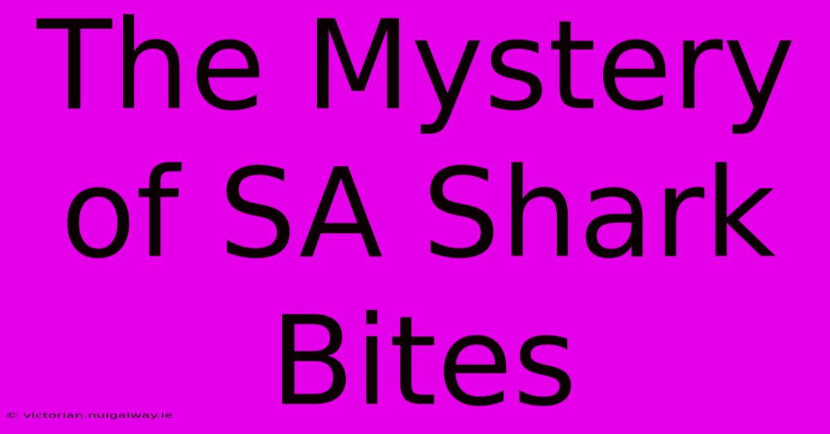 The Mystery Of SA Shark Bites