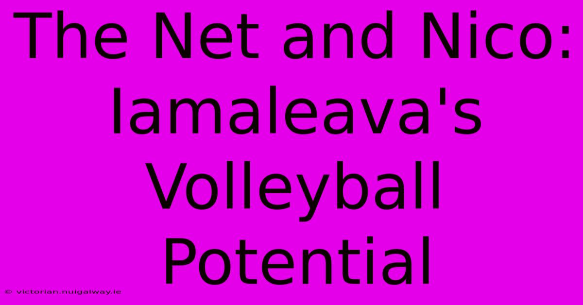 The Net And Nico: Iamaleava's Volleyball Potential