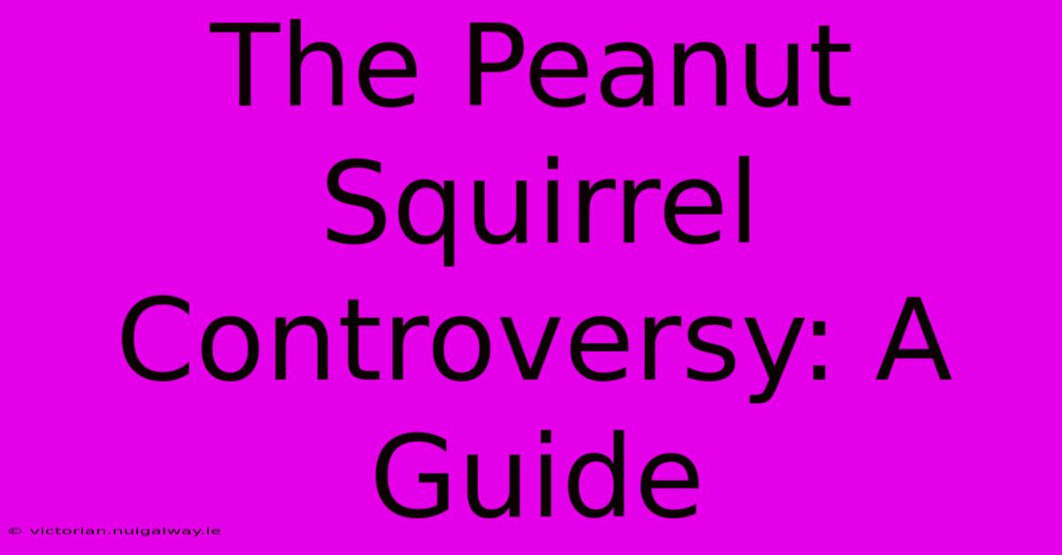 The Peanut Squirrel Controversy: A Guide