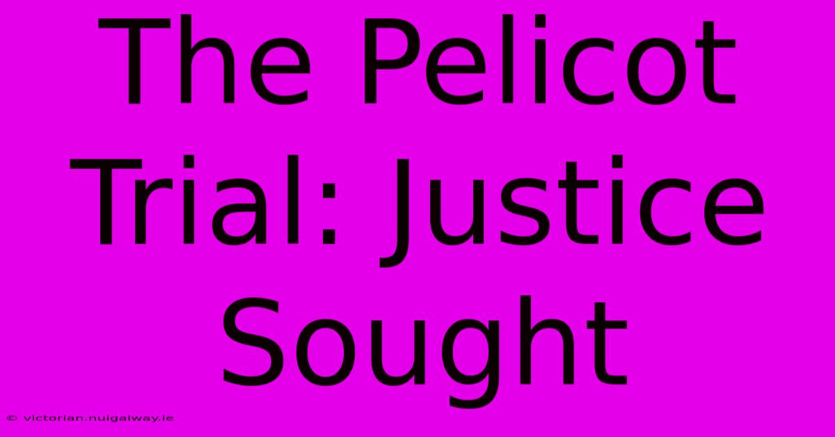 The Pelicot Trial: Justice Sought