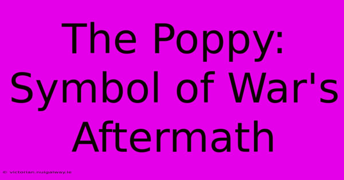 The Poppy: Symbol Of War's Aftermath