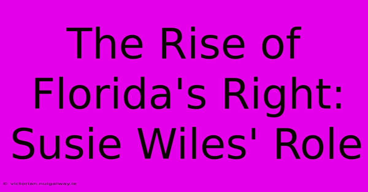 The Rise Of Florida's Right: Susie Wiles' Role