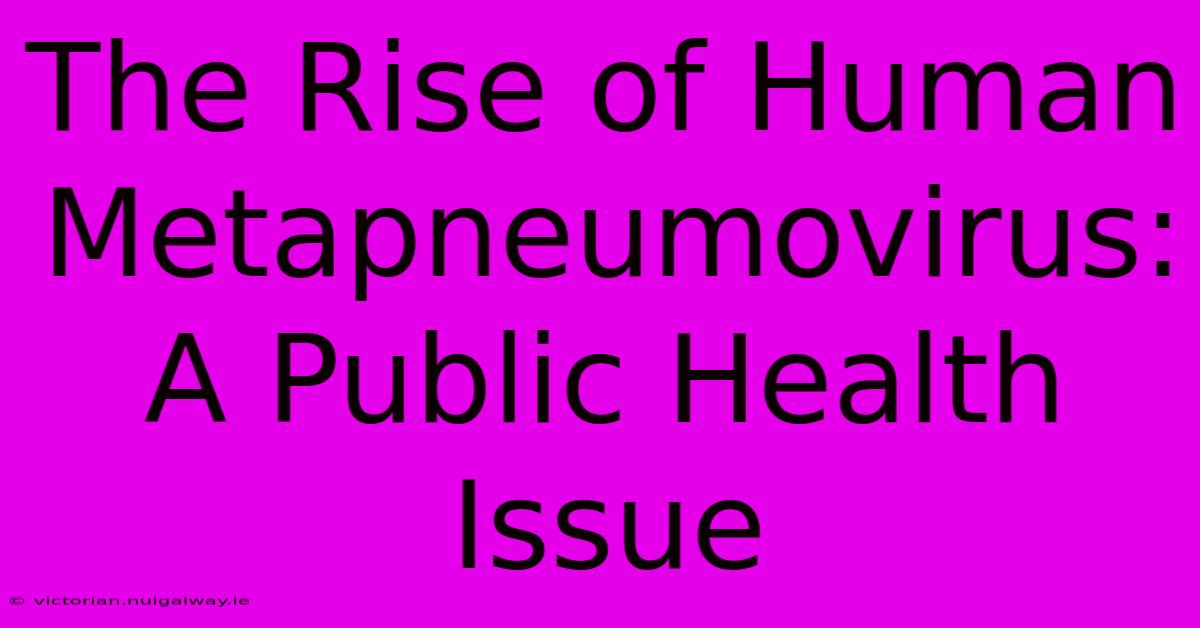 The Rise Of Human Metapneumovirus:  A Public Health Issue