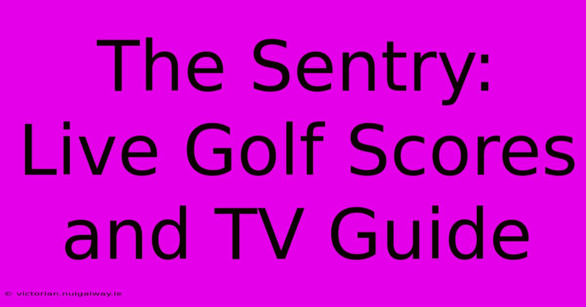 The Sentry:  Live Golf Scores And TV Guide