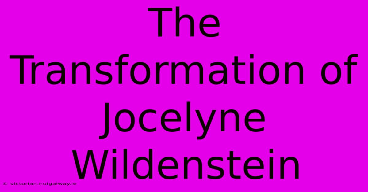 The Transformation Of Jocelyne Wildenstein