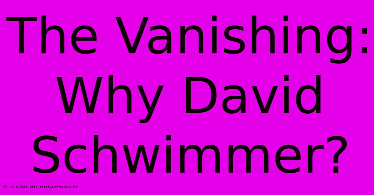 The Vanishing: Why David Schwimmer?