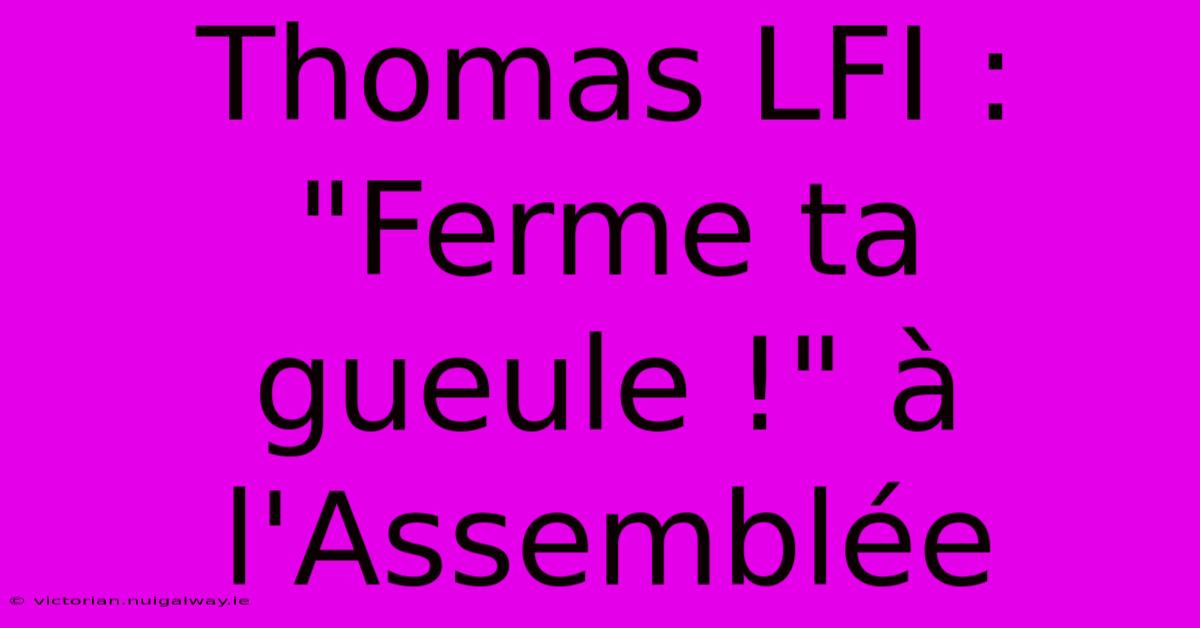 Thomas LFI : 