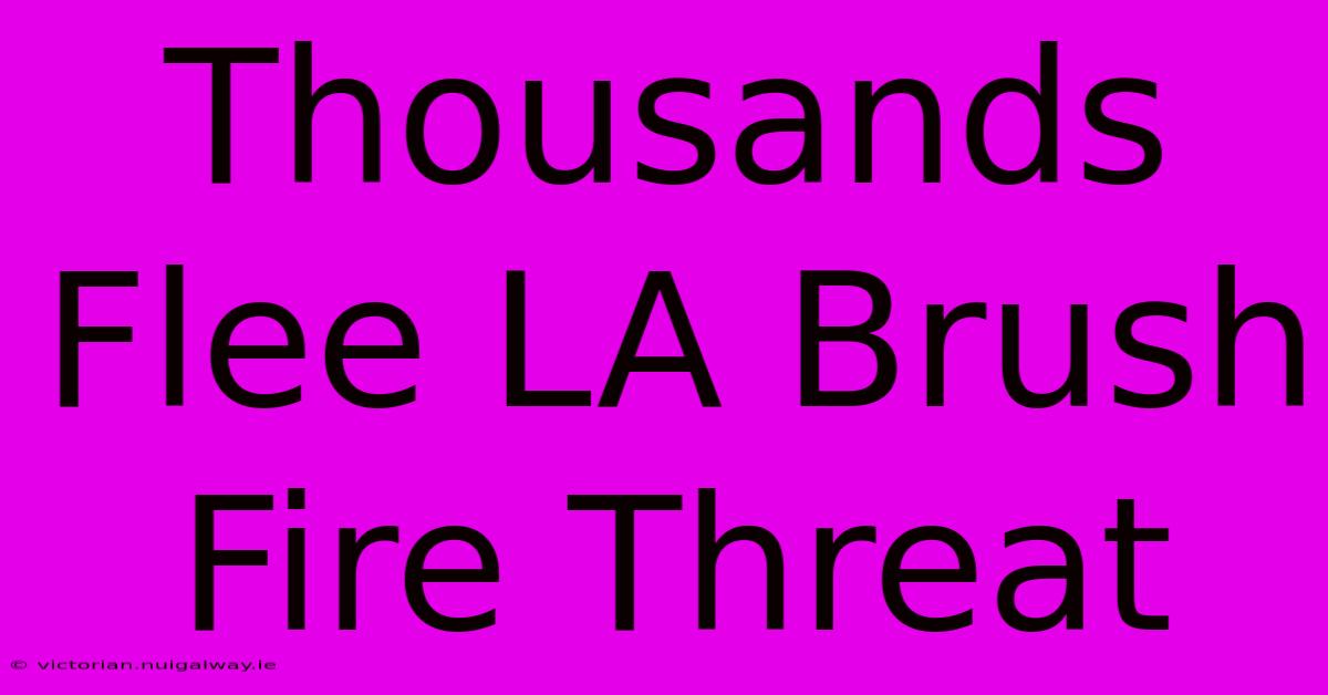 Thousands Flee LA Brush Fire Threat