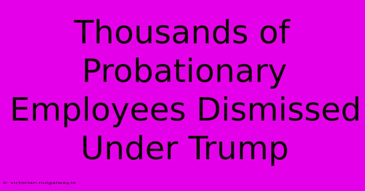 Thousands Of Probationary Employees Dismissed Under Trump