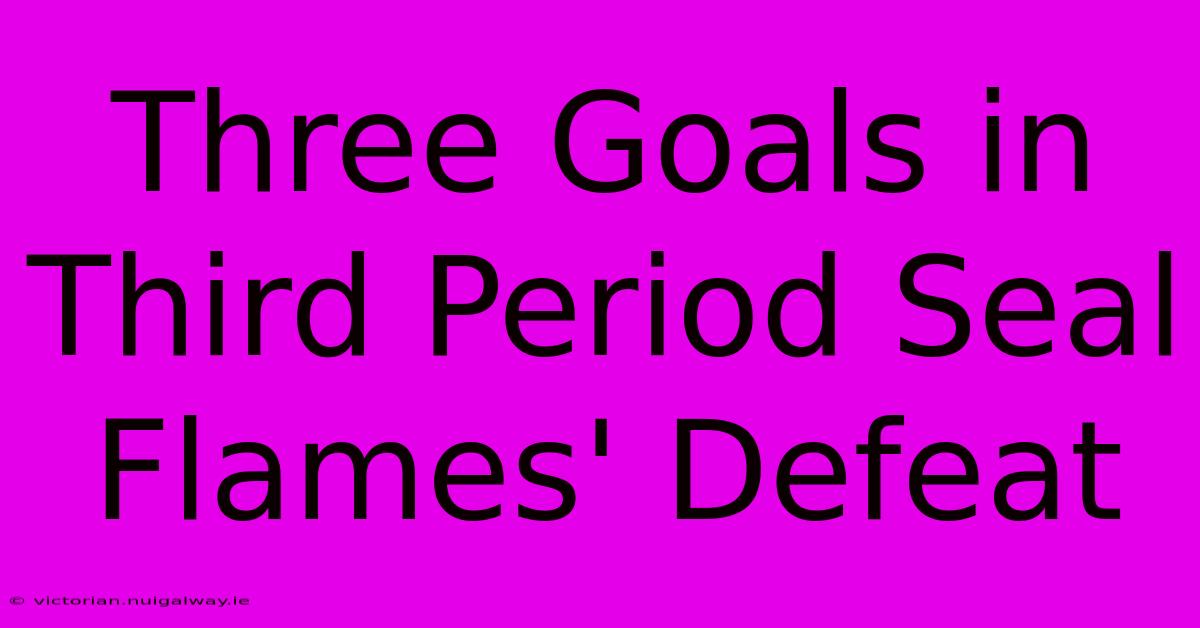 Three Goals In Third Period Seal Flames' Defeat