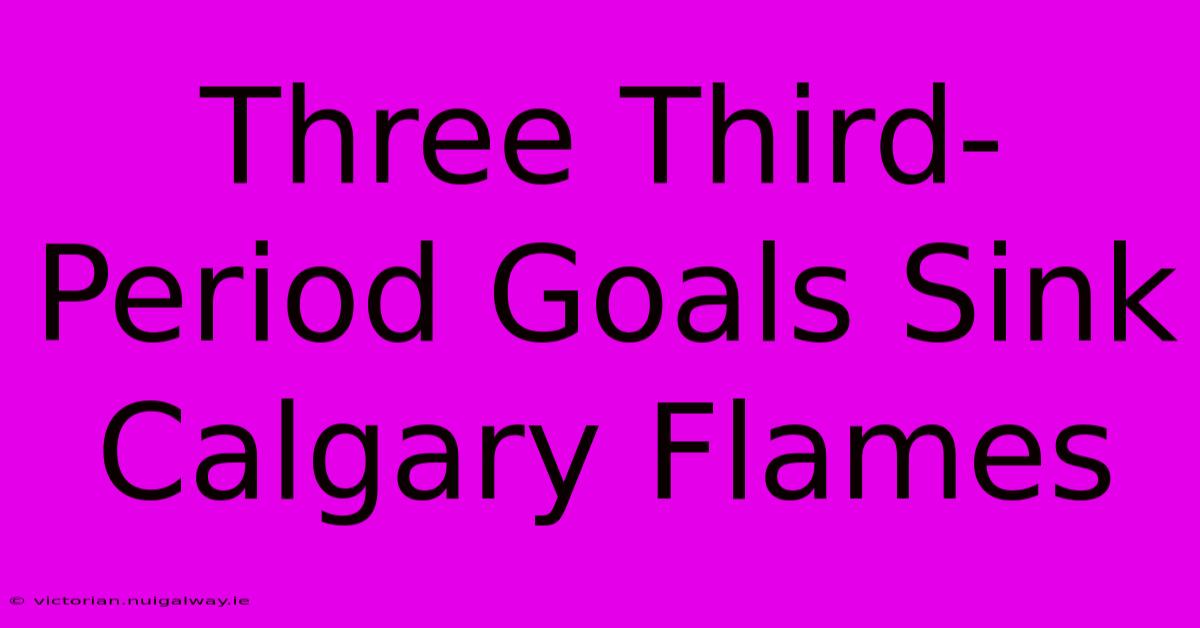 Three Third-Period Goals Sink Calgary Flames