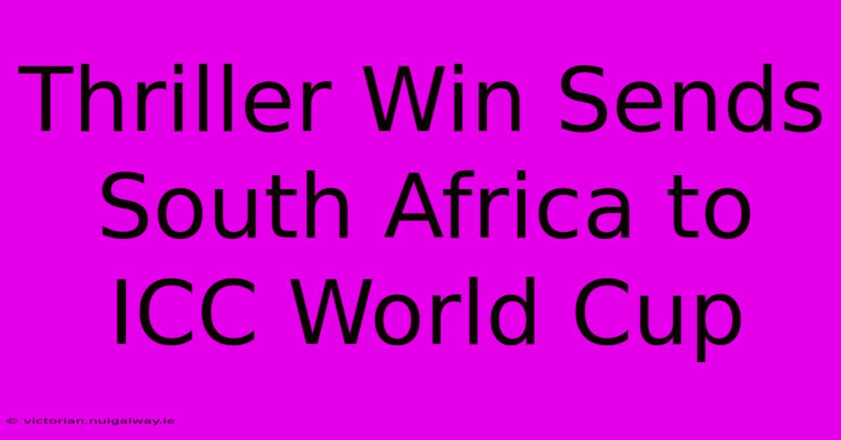 Thriller Win Sends South Africa To ICC World Cup