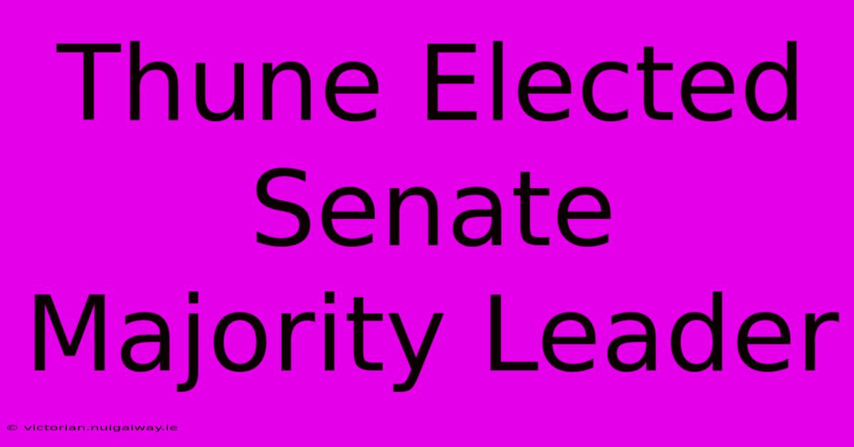 Thune Elected Senate Majority Leader