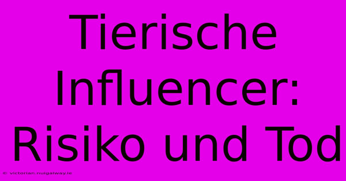 Tierische Influencer: Risiko Und Tod