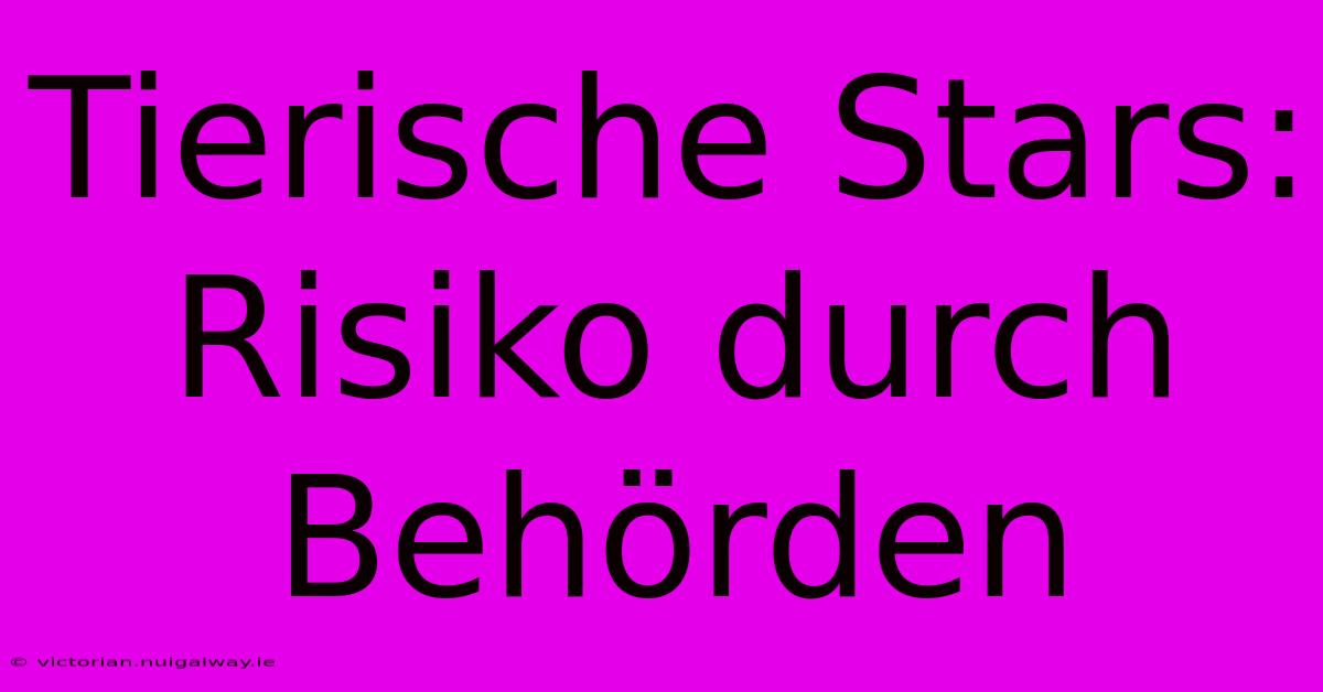 Tierische Stars: Risiko Durch Behörden 