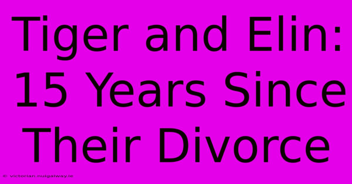 Tiger And Elin: 15 Years Since Their Divorce